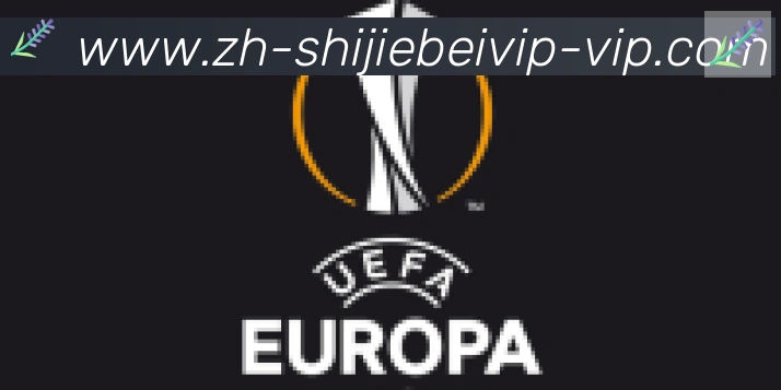 2026世界杯比分官方网站合作伙伴